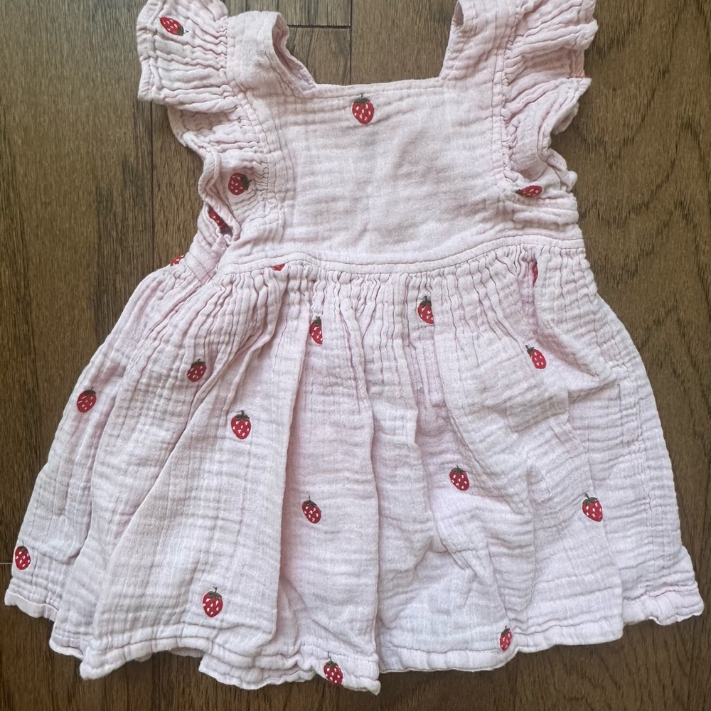 Pink Chicken Elsie Dress Strawberries